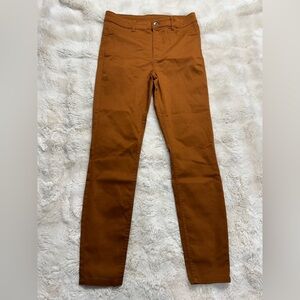 Women's Straight Leg Pants in Burnt Orange